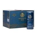Mermaid Gin & Tonic in Dose 12er Karton 12x250ml